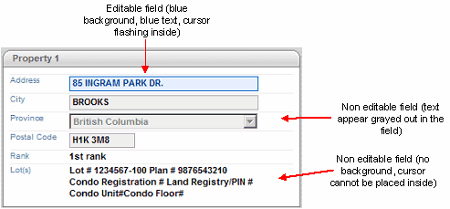 editable field